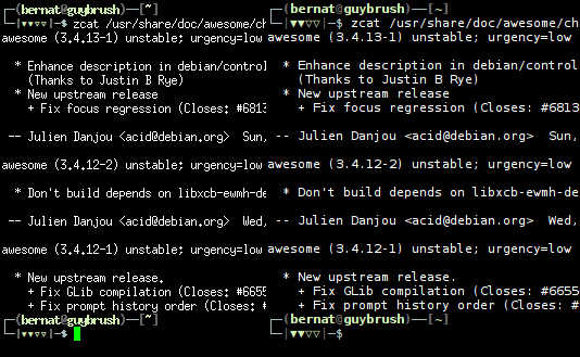 Comparison of terminal fonts