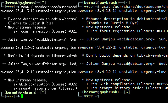 Comparaison des fontes pour terminaux